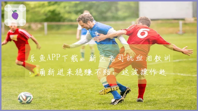 乐鱼APP下载,新区老司机血泪教训,萌新进来稳赚不赔,这波操作赶紧避坑!