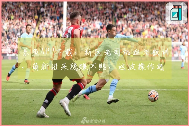 乐鱼APP下载，新区老司机血泪教训，萌新进来稳赚不赔，这波操作赶紧避坑！