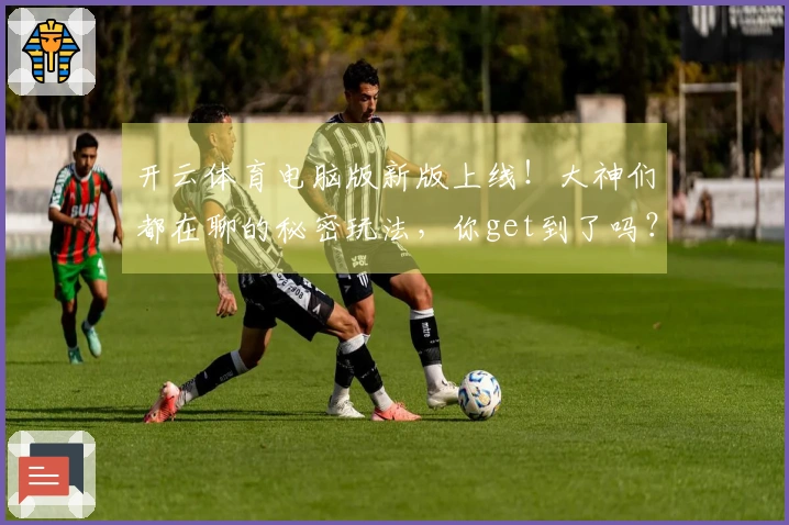 开云体育电脑版新版上线！大神们都在聊的秘密玩法，你get到了吗？